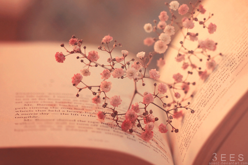 Os livros são espelhos: neles só se vê o que possuímos dentro. (A Sombra do vento)  :)
