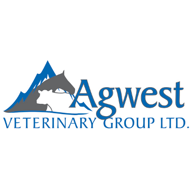 We are a Large Animal veterinary ambulatory practice located in the Fraser Valley of British Columbia, Canada.