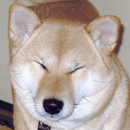 ＩＴ業界紙記者です。特に長年クラウドを追いかけてきました。関連情報を配信していきます
