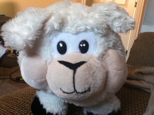 That's what Sheep said!