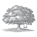 Carmel Valley Ranch (@carmelvranch) Twitter profile photo