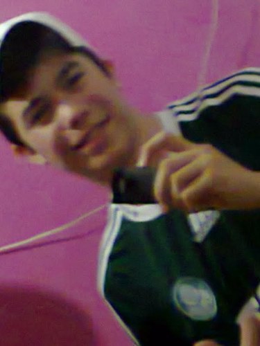 Virginiano, 16 anos, Rafaelense, estudante, cursando 1° ano do Ensino Médio no ENSV, apaixonado por futebol e Palmeirense até a morte!