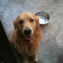 Cindy Chua - @cin7113 - Twitter