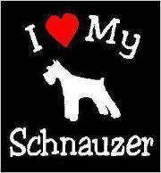 Co-Creator, NYMB . . . ON DOGS &
Co-Creator, NYMB . . . ON PETS
Freelance writer