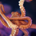 Cherilyn Chin (@protectoceans) Twitter profile photo Cherilyn Chin (@protectoceans) Twitter profile photo