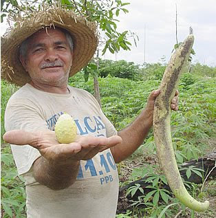 Sou um cara tas crota mais conhecido como Bagual sou uma pessoa muito trapalhatora e muito engraçada venham me conhece :)