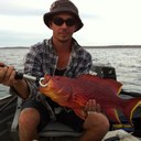 Brett Thomson - @ThomsonBrett - Twitter