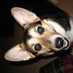 Wayne Skeen (@wayneskeen2) Twitter profile photo Wayne Skeen (@wayneskeen2) Twitter profile photo