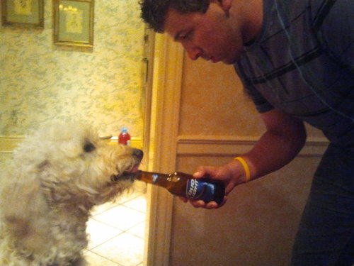 khoff913_49ers's profile picture. Im kenneth!! Lets go 49ers!! 
let's go cavs!
let's  go buckeyes!
#happilytaken #Mackenzie