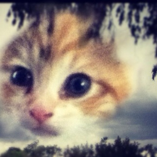 Dennis_Lee_14's profile picture. 