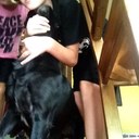 Ron Mayo - @ron_mayo - Twitter