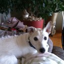 Lisa Caudill - @CaudillLisa - Twitter