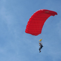 dew (@dew) 's Twitter Profile