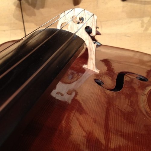 tissero72's profile picture. 