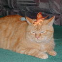 Michelle Deck - @IMO_ripley - Twitter