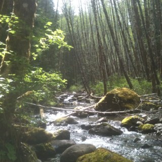 KevinGSimpson's profile picture. 