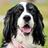 SrSpanielRescue's profile image
