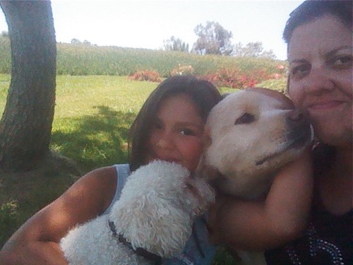 Pet care tips. Company - Providing quality in home boarding, daily care, pet taxi & consulting. Owner - mom, animal lover, avid napper.