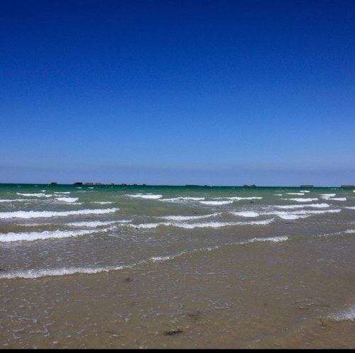 nebios's profile picture. 