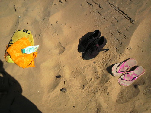 magusaya's profile picture. 基本ROM専門。たまに旅の記録とか。