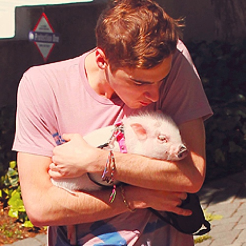 DatKendall's profile picture. Hey this is Kendall. Completely single