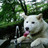 ssys1234's profile image