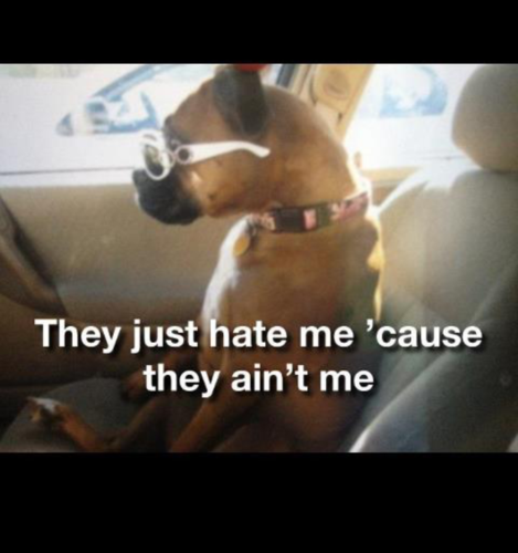 justinp_'s profile picture. just your average day trader with an obsolete strategy 🤣