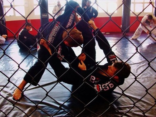 Yardy_SA's profile picture. 