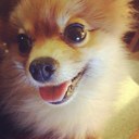 Ella Strauss - @EllaJStrauss - Twitter