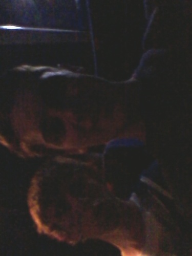 Jesus~Church~Crossfire~Friends~Music~XD