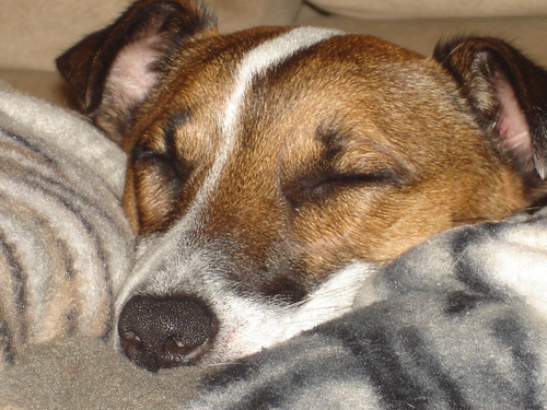 BetterLifeToday's profile picture. Nutritional information for those seeking a BETTER LIFE TODAY! Start with a whole food supplement called Body Balance.