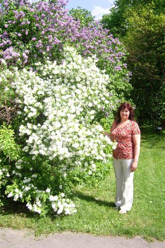 SvetlanaTilgase's profile picture. 