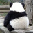 naprobo's profile image