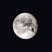 sicral's profile image