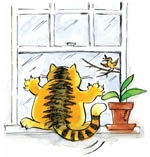 CatExeter's profile picture. Looking after the cats you love.