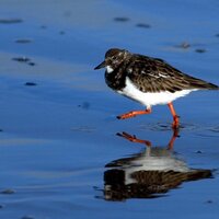 Turnstone Media (@turnstonemedia) 's Twitter Profile