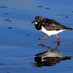 Turnstone Media (@turnstonemedia) Twitter profile photo