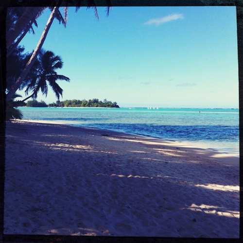 teutaz's profile picture. .