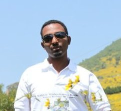 Editor at EthioDailyPost and former editor at The Sub Saharan Informer newspaper , freelance  producer at AJE .