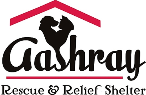 Aashray, an animal welfare organization also aims at informing people about animal right and sensitizing them to the needs of our voiceless friends.