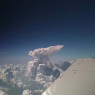 dfuzzy1979's profile picture. 