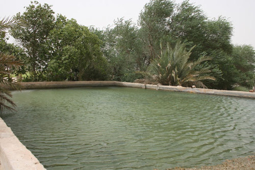 ‏استغفر الله واتوب اليه