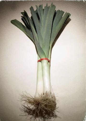 Eating Wales -- promoting the glorious vegetables, meat, drink, growers, producers and consumers of Welsh food to the world!