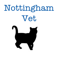 VetinNottingham's profile picture. Vet in Nottingham, loves making sure that your best is looked after with perfection.