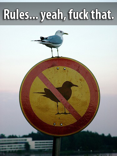 I do things... most of which don't get me into trouble.