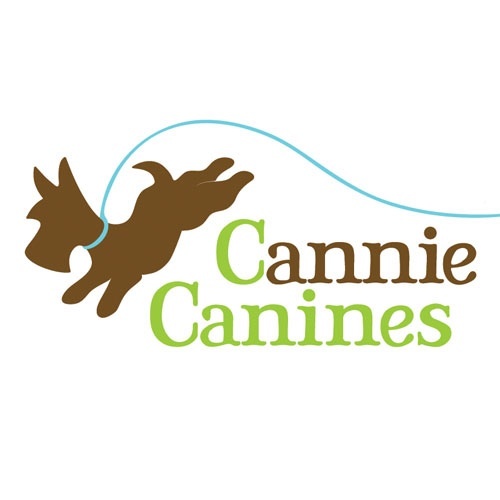 CannieCanines's profile picture. The smart dog owners choice!  Training, dog walking, day care, home boarding, home visits, pet taxi.