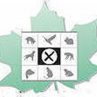 AnimalProtectPartyCA (@animalprotectca) 's Twitter Profile