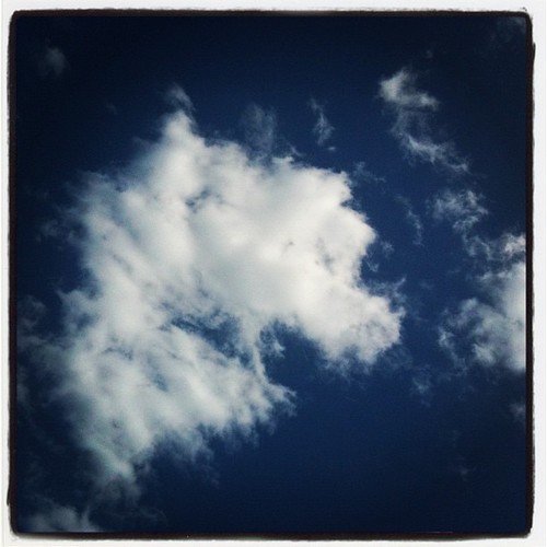 Shepherd190's profile picture. 