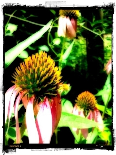 hagan_emily's profile picture. 