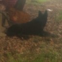 Tammy Milton - @MOTTOCHUKA1 - Twitter